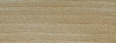 Birch