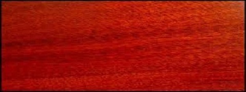 Bloodwood