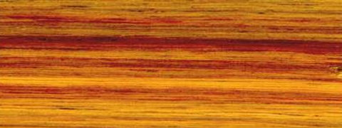 Canarywood