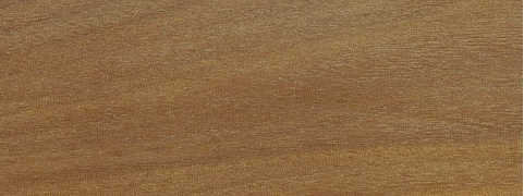 Chakte Viga
