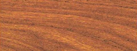 Mesquite