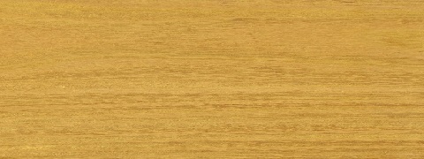Osage Orange