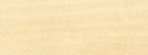 Poplar