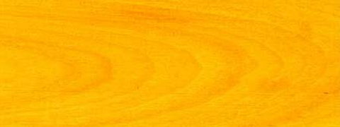 Satinwood