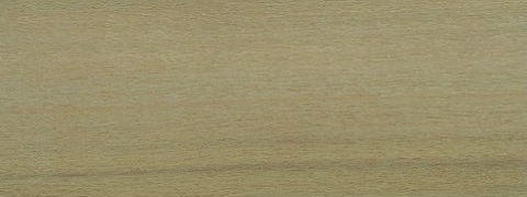 Tulipwood